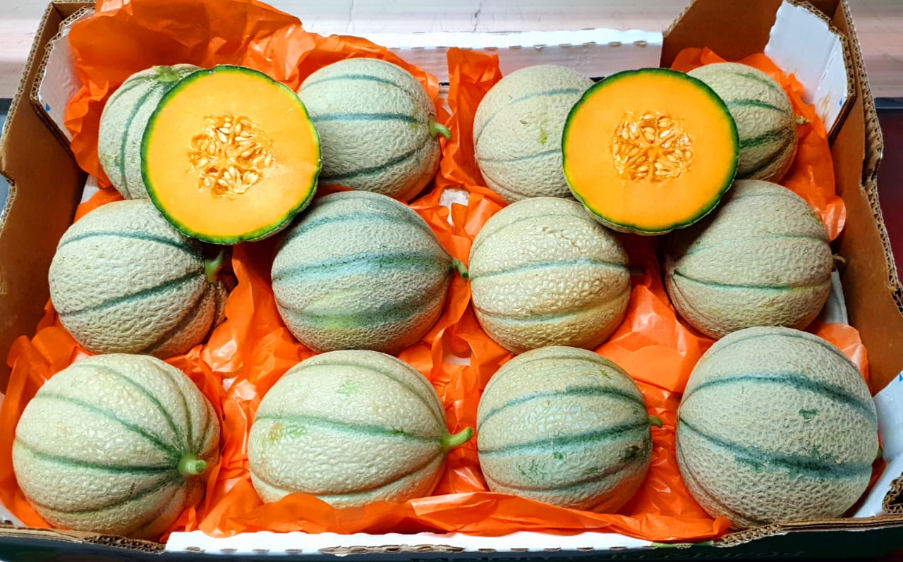 WhatsApp Image 2022-03-21 at 00.43.25.jpeg