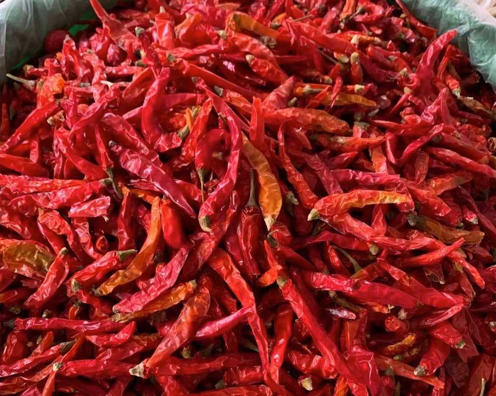 Dried-chili-pepper.jpg