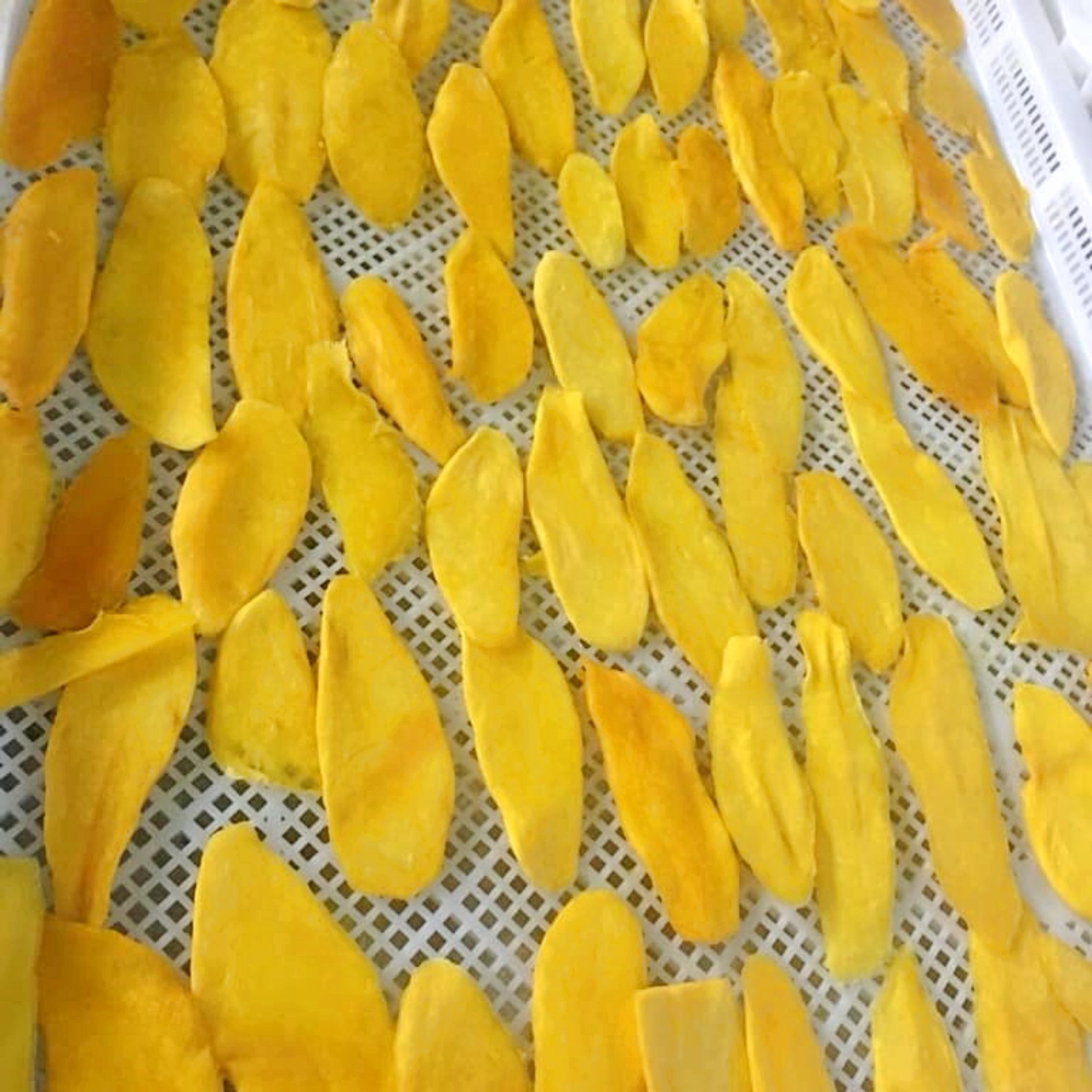 Soft Dried Mango Low Sugar Added-FruitBuys Vietnam (4).jpg