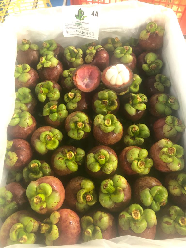 WhatsApp Image 2021-05-21 at 14.34.26 (2).jpeg