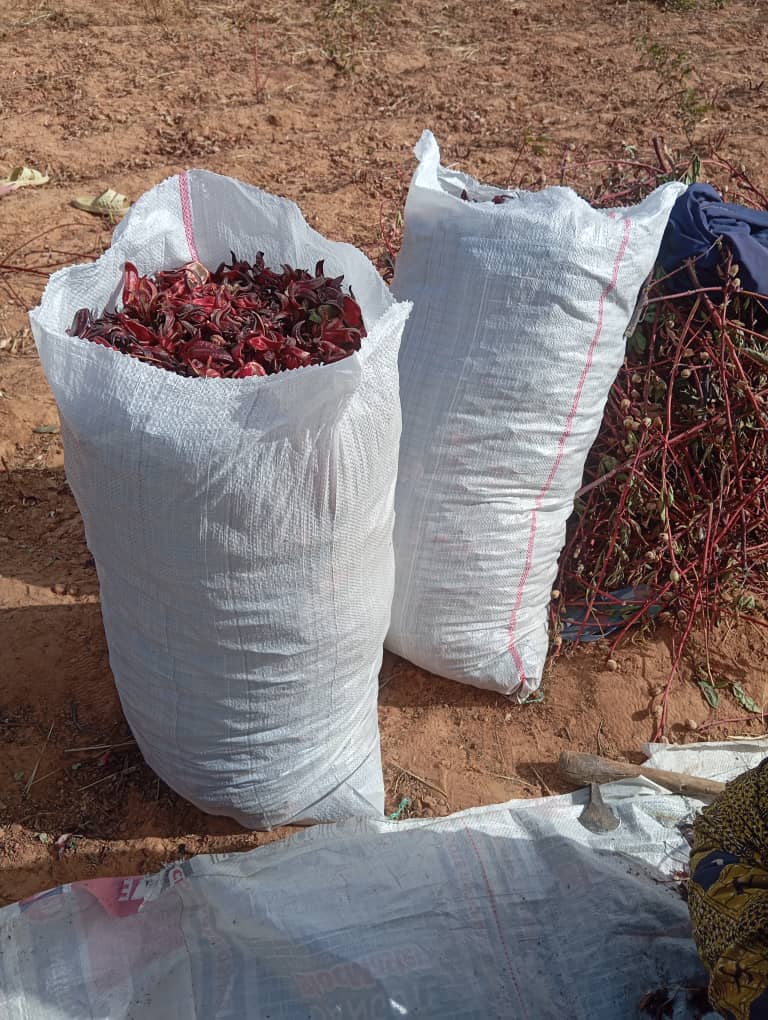 WhatsApp Image 2025-12-08 at 16.33.48.jpeg