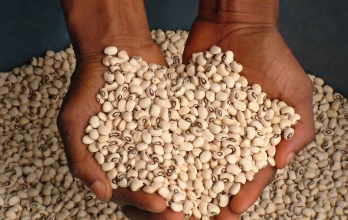 WhatsApp Image 2024-05-07 at 09.51.07_3e1ae2e0.jpg