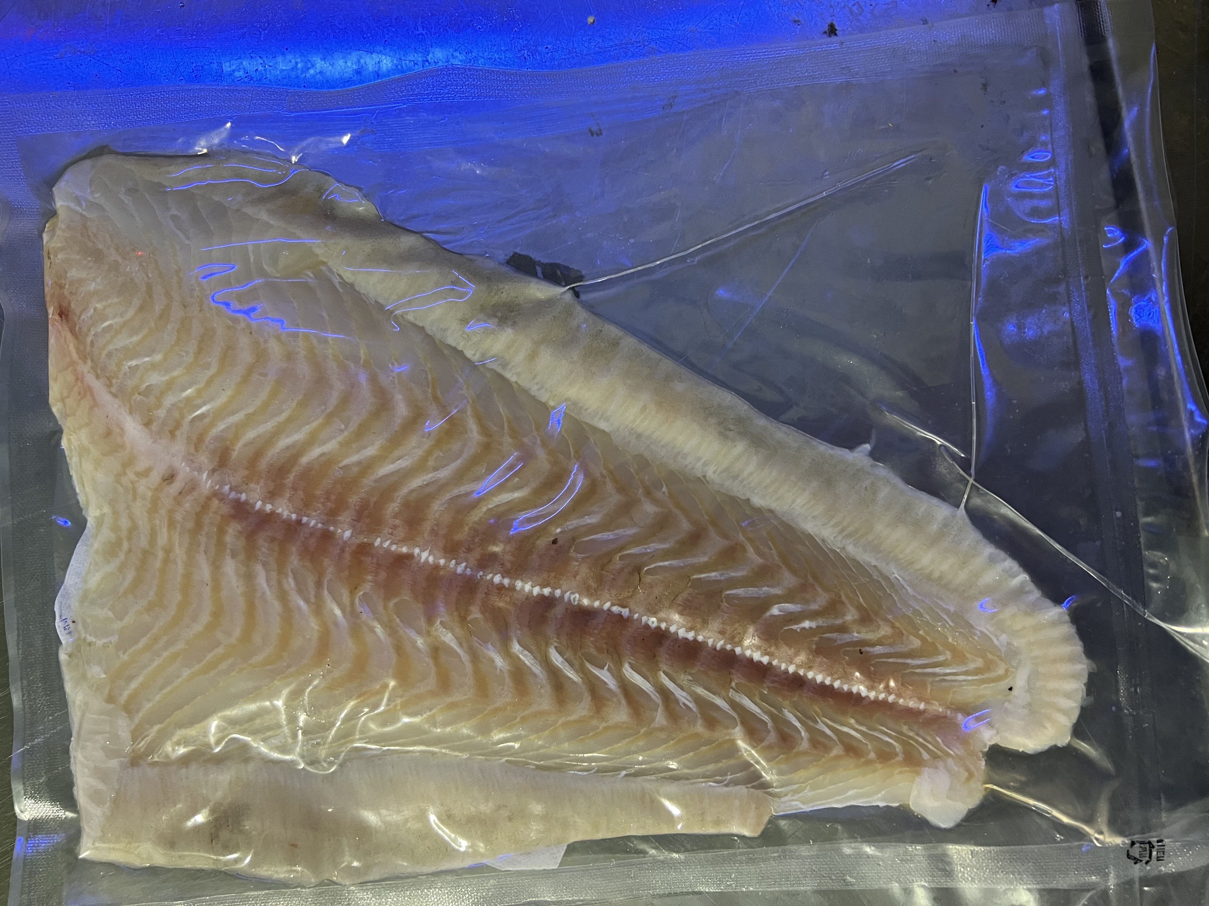 Olive flounder fillet.jpg