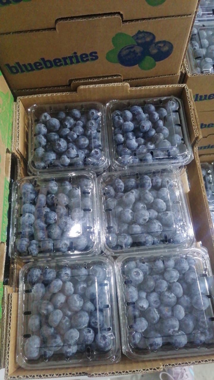 WhatsApp Image 2023-11-23 at 12.03.27.jpeg