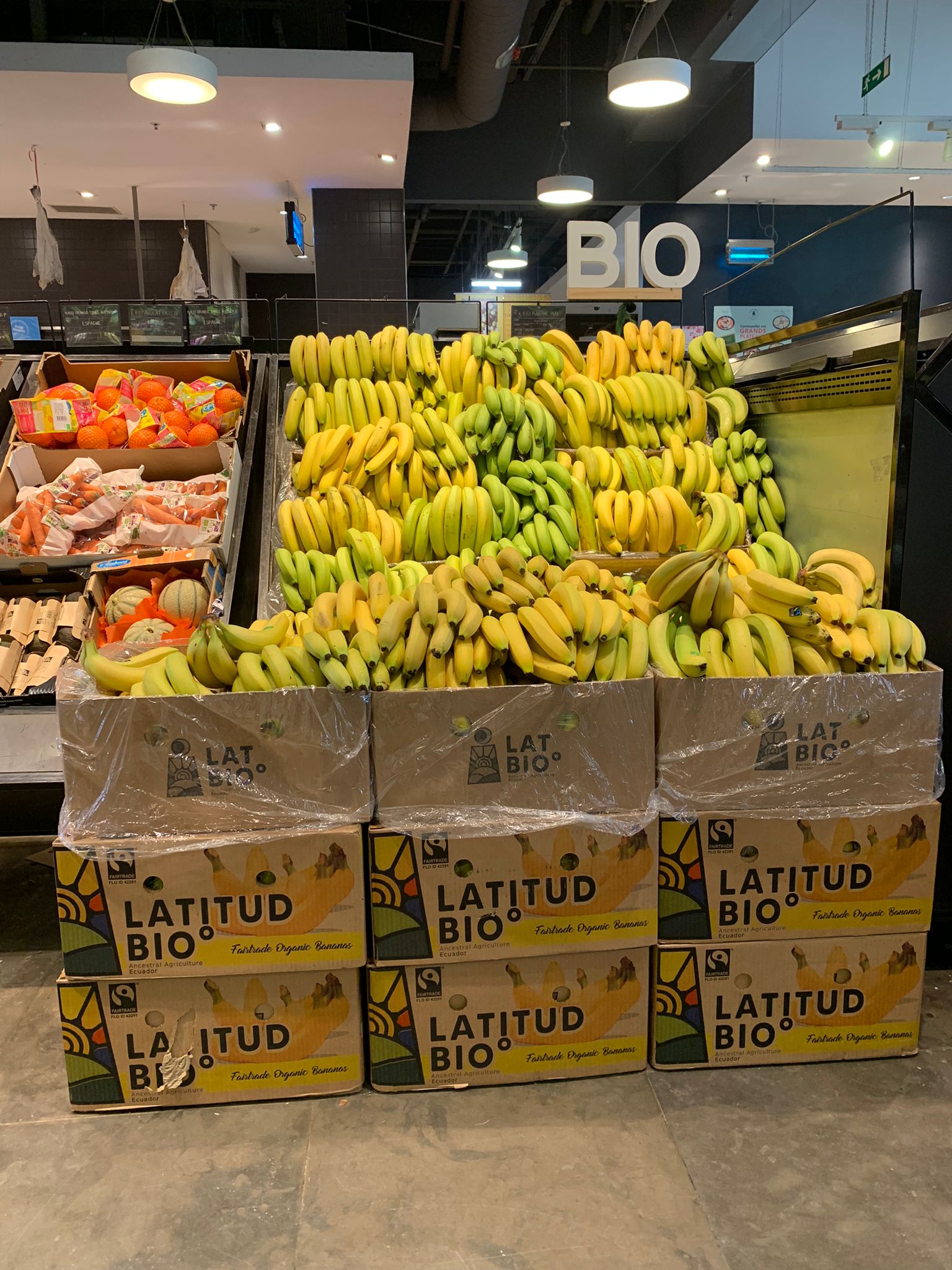 LatBio Europe Market.jpeg