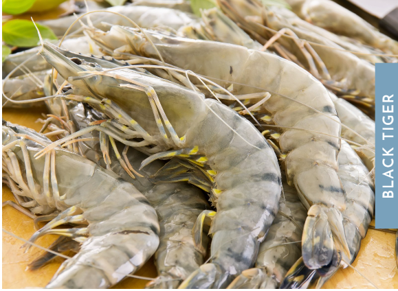 Screenshot 2023-05-03 154710.png