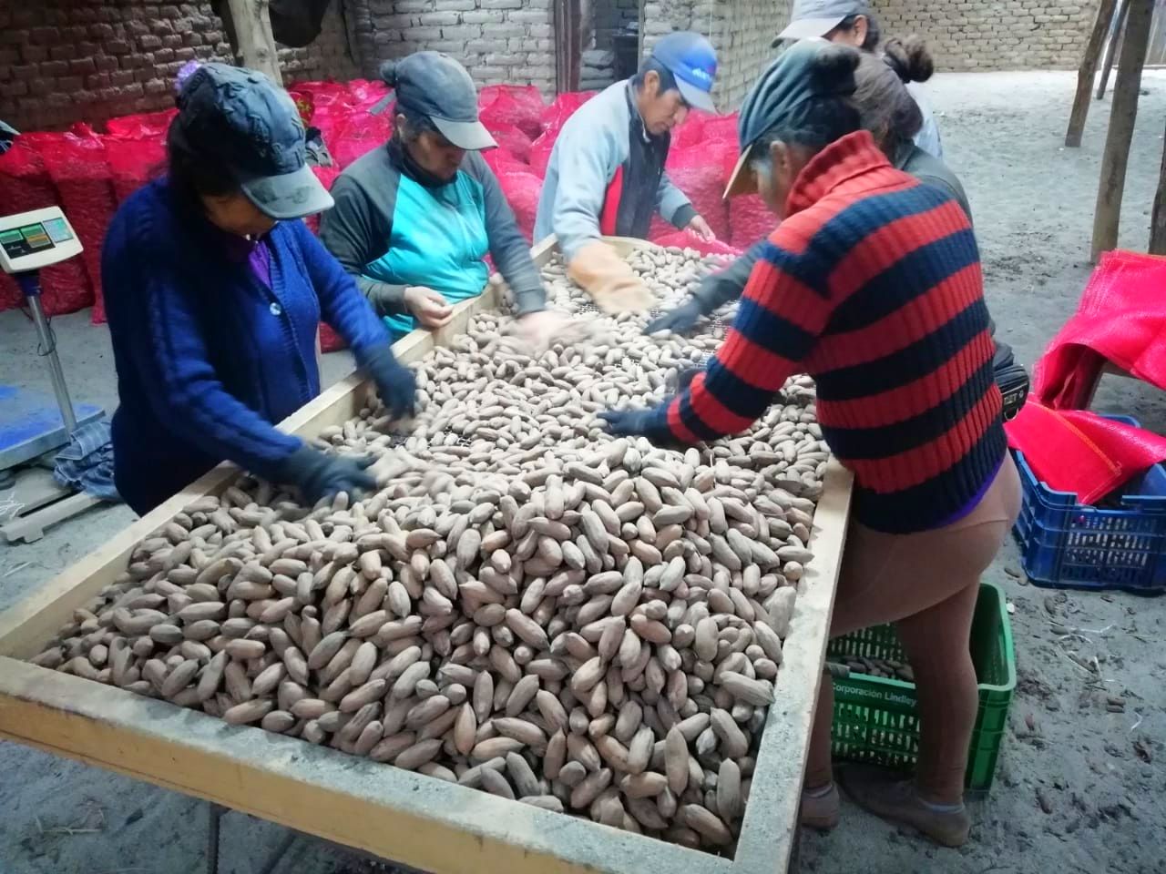 Peruvian Fresh Products - Pecans 2.jpg