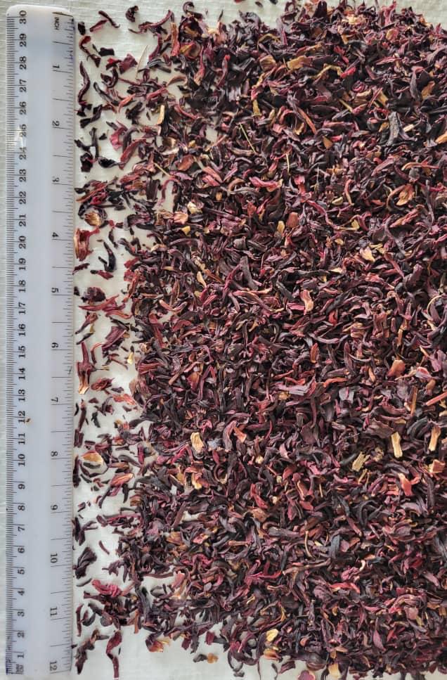 Hibiscus Sifting....jpeg