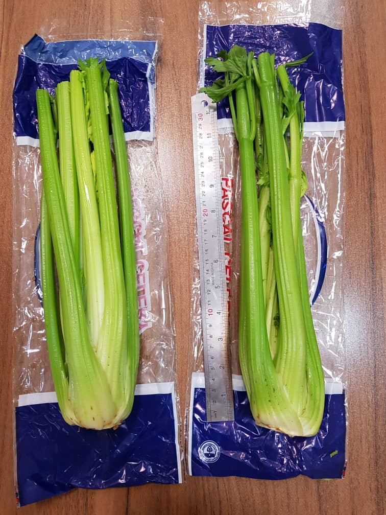 IMG-20190627-WA0017.jpg