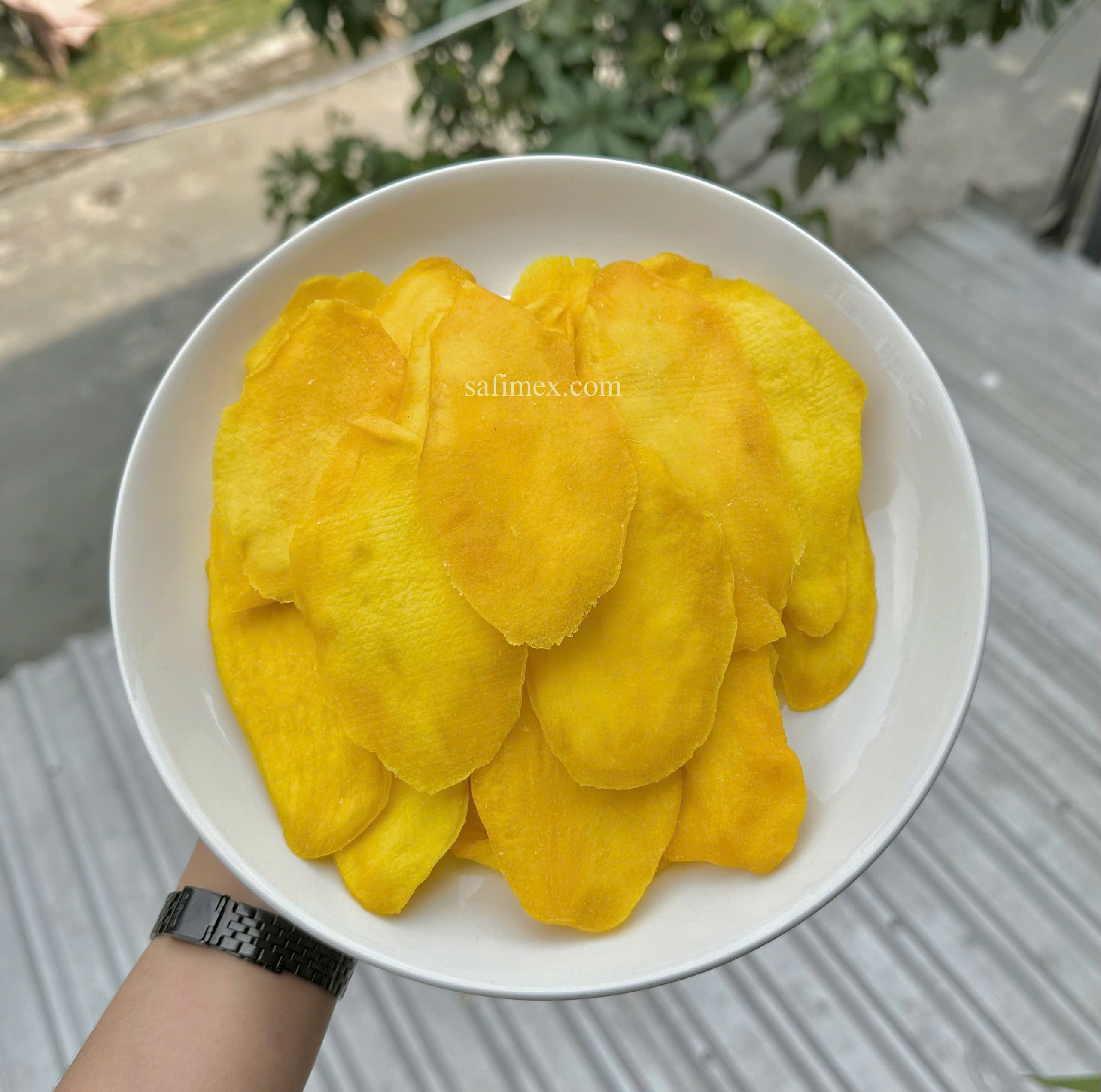 sfm mango2.jpg