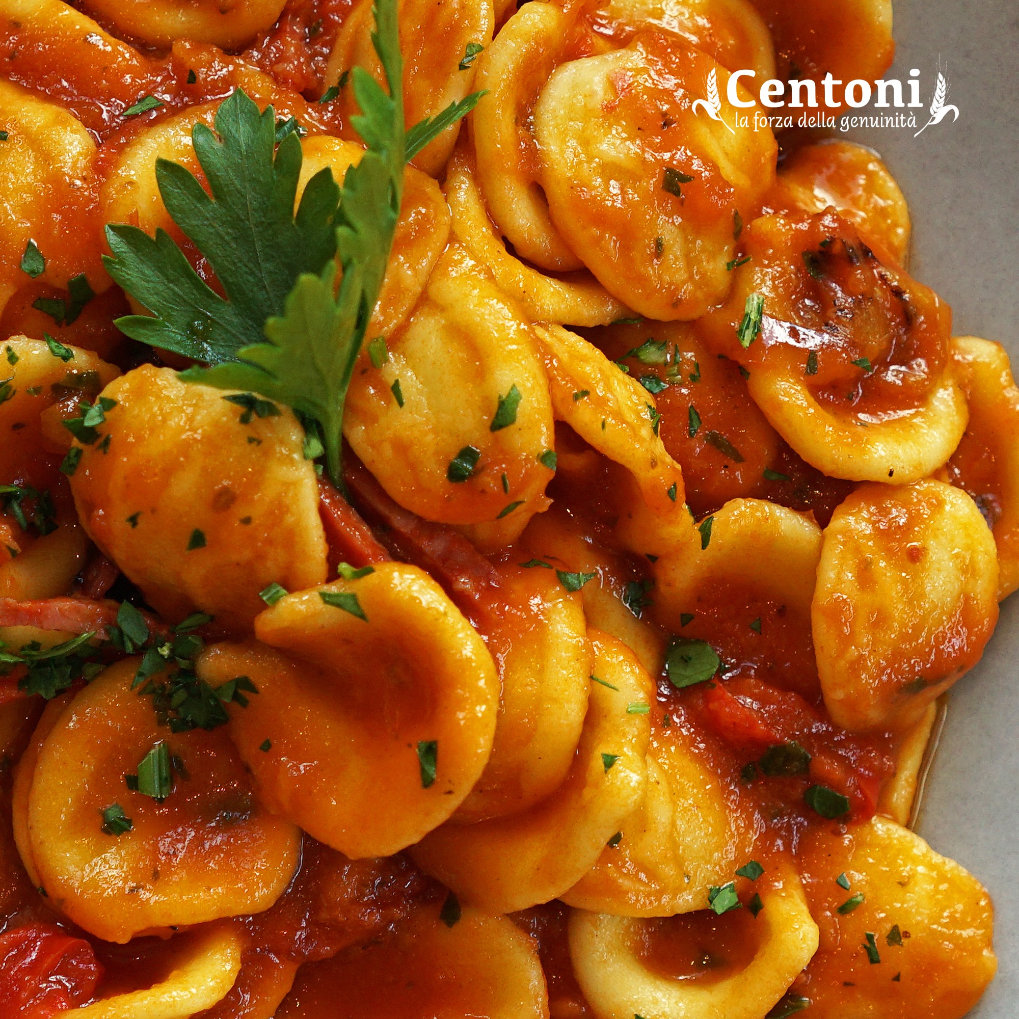 centoni_orecchiette_dish 2.jpg