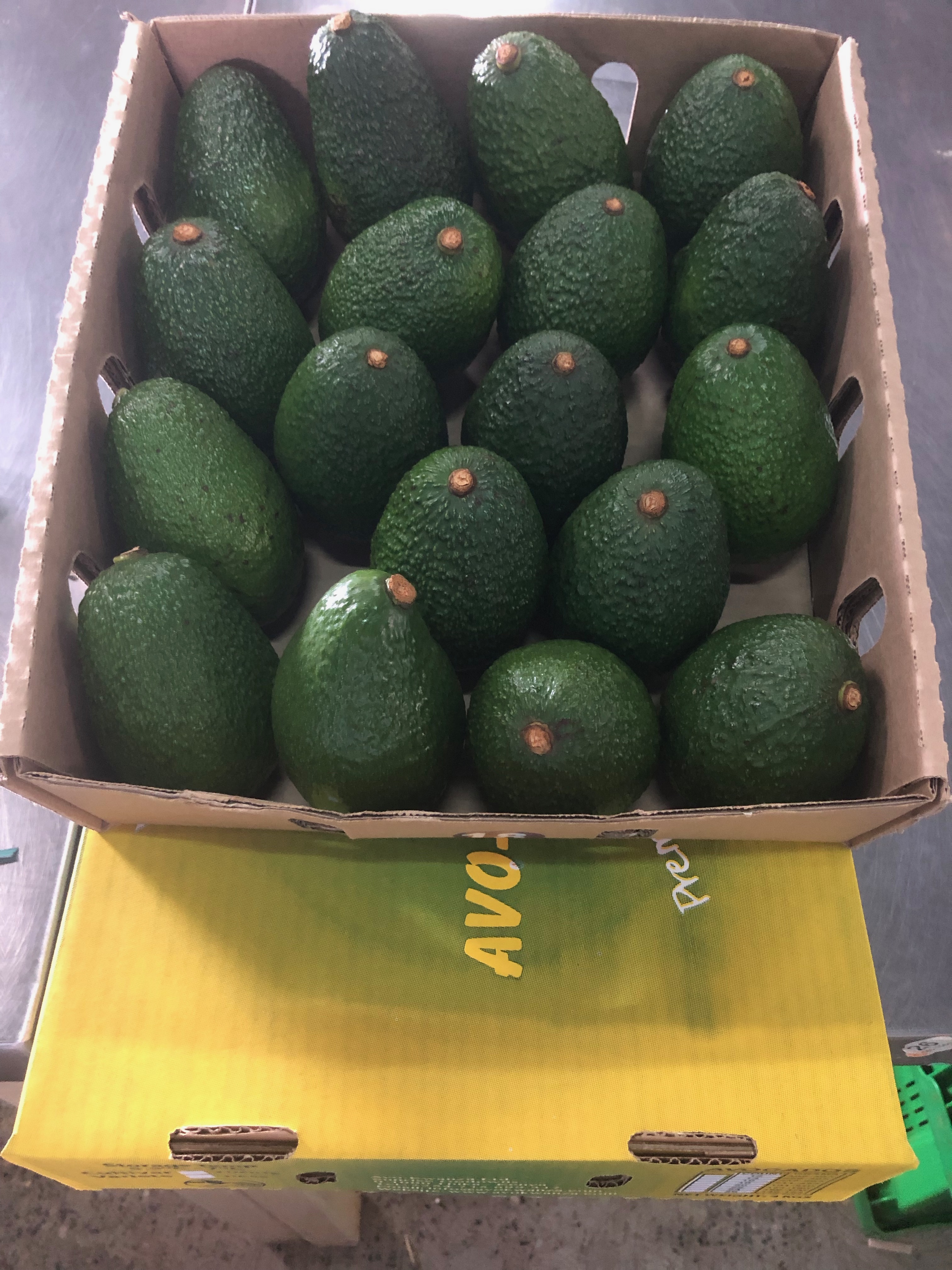 Avokwanza Avocados Box.jpeg