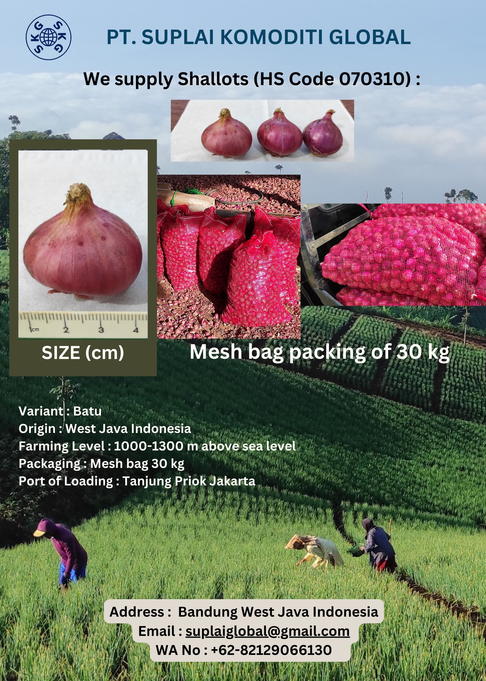 Poster Bawang Merah 1.jpg
