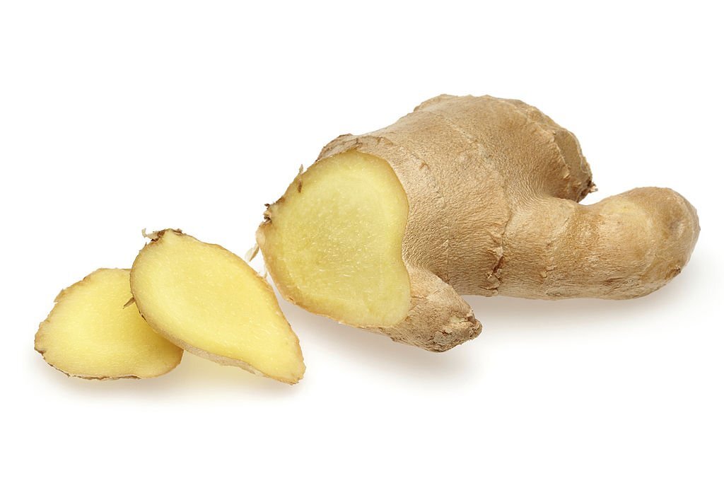 Ginger 1.jpg