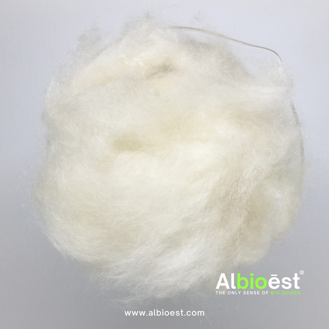 Capturing Kapok Fiber in Beaker Glass.jpg