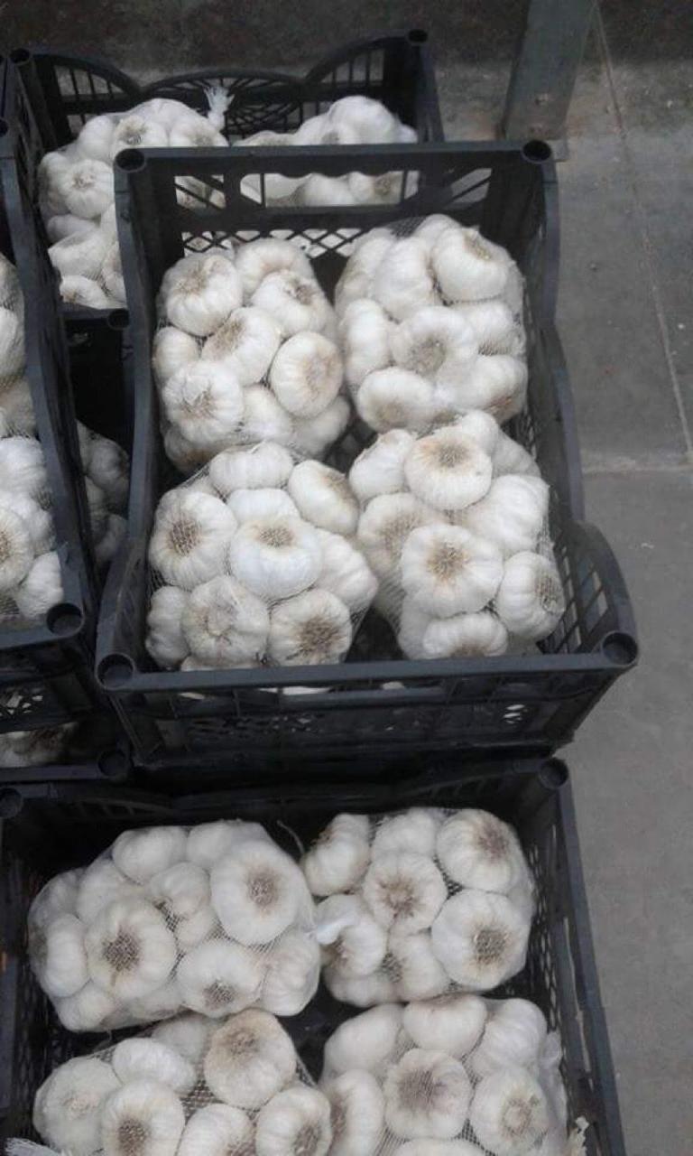 WhatsApp Image 2023-07-27 at 12.29.14 AM.jpeg