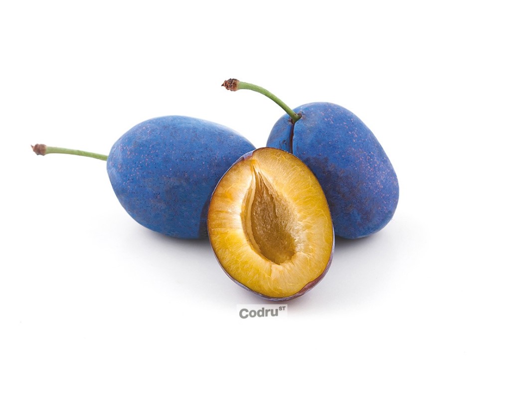 Plum1.jpg