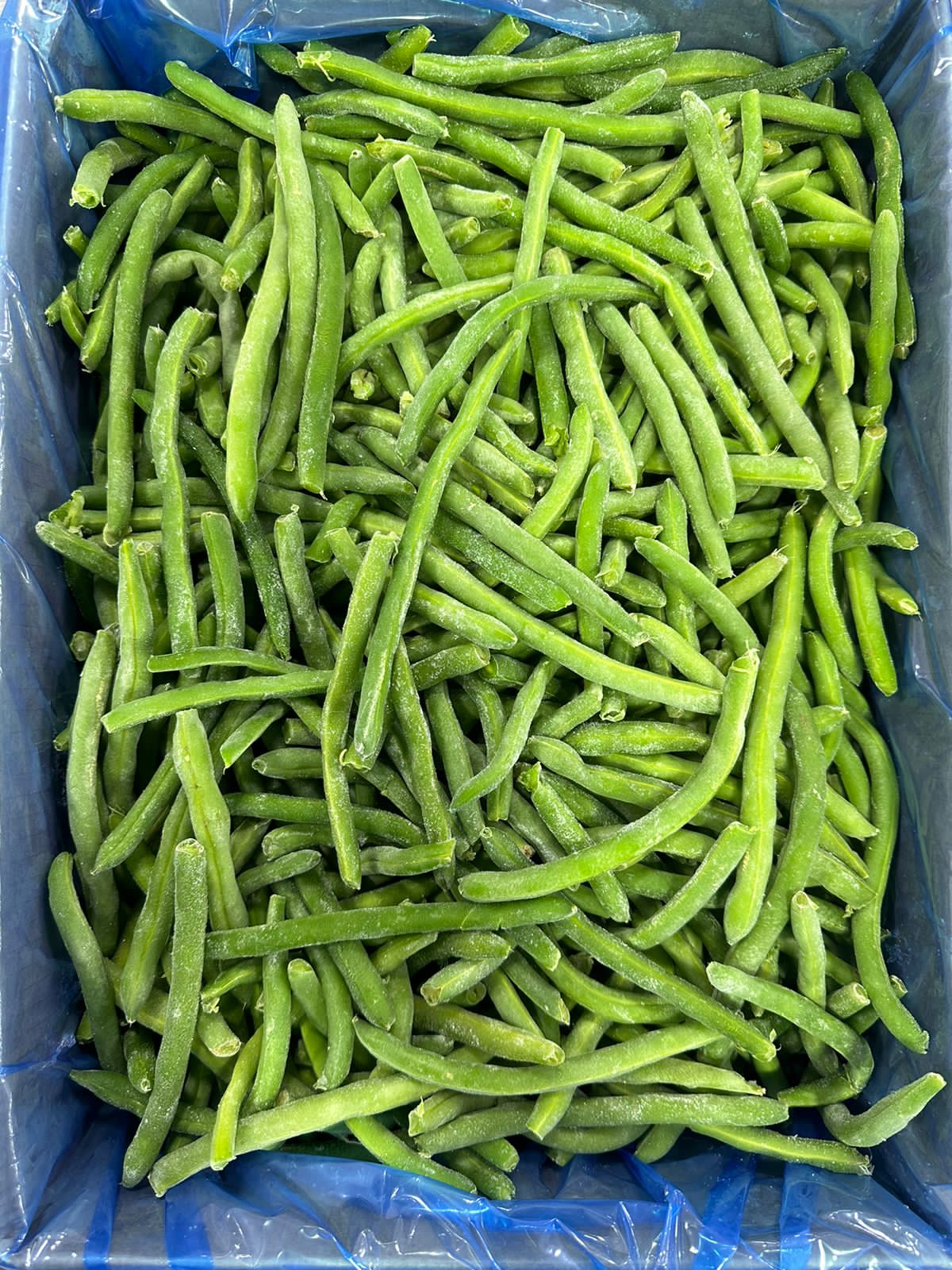 Whole green beans  (4).jpg