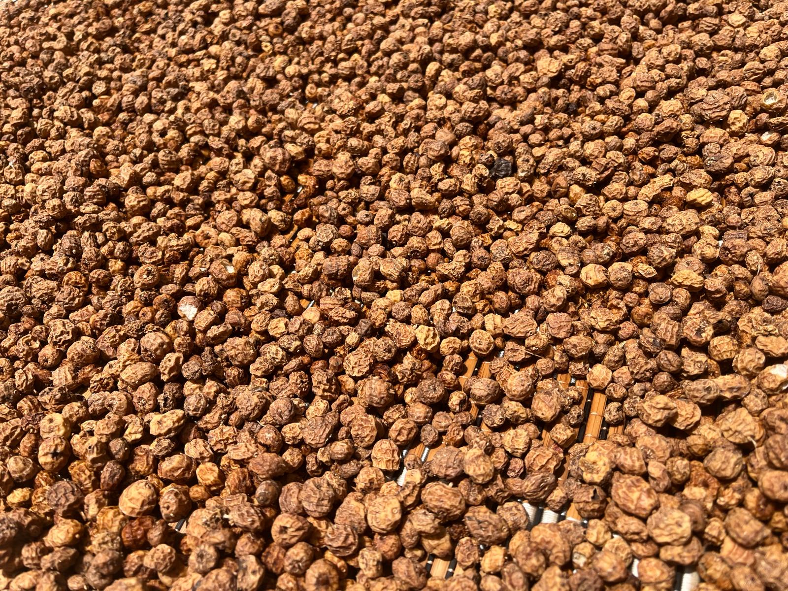 Tigernuts basket pic. 2jpg.jpg