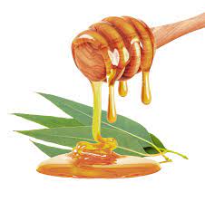 Eucalyptus Honey.jpg