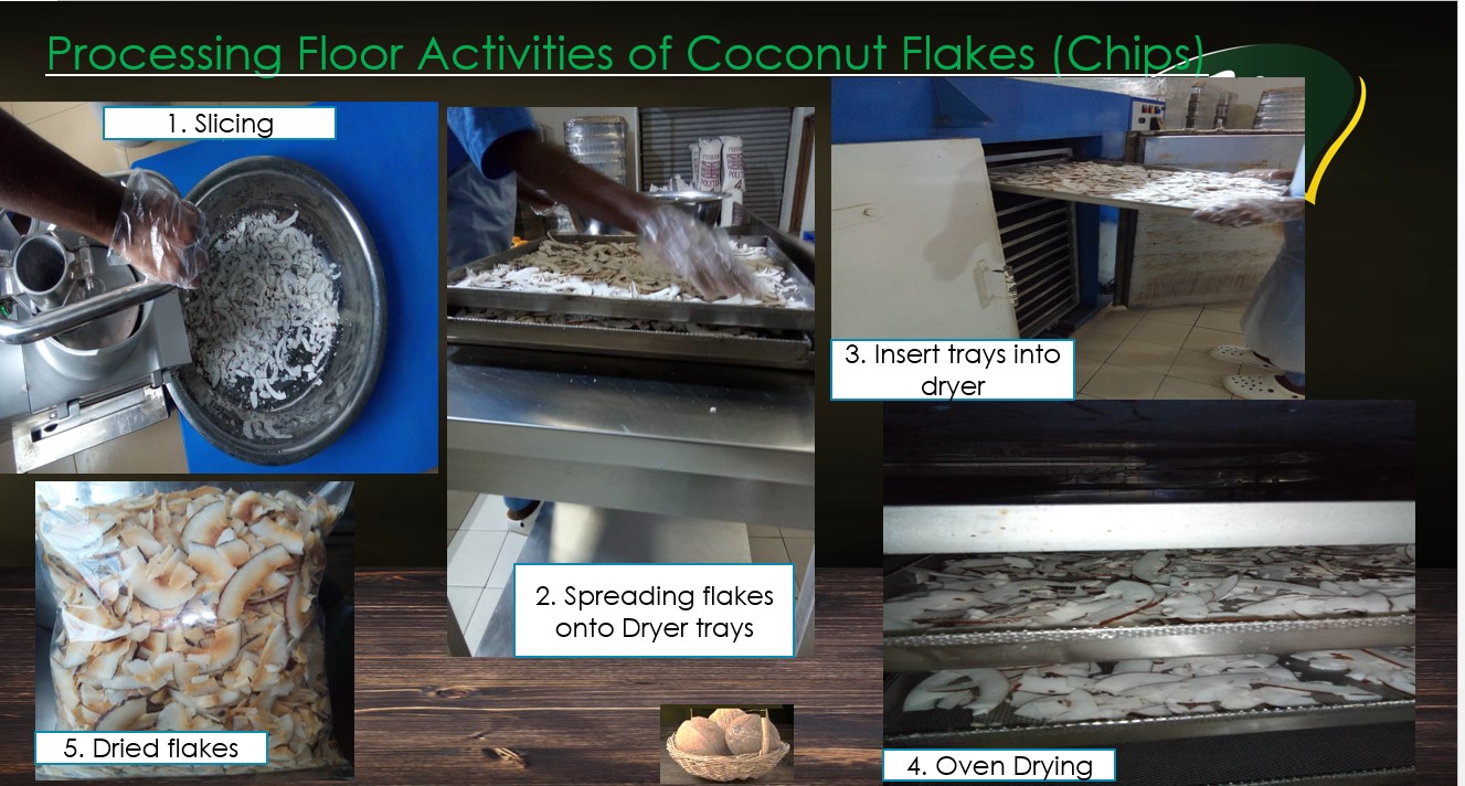 coconuttys 2.jpg