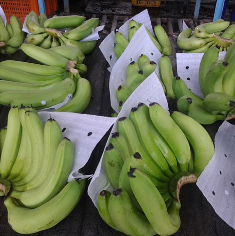 banana2.jpg