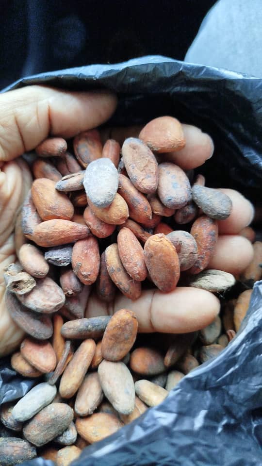 WhatsApp Image 2025-12-17 at 6.04.32 PM.jpeg