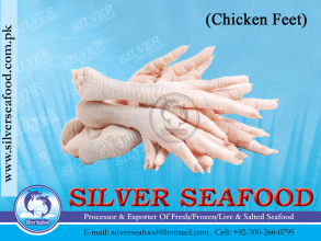 chicken-feet.png-nggid03159-ngg0dyn-300x220x100-00f0w010c010r110f110r010t010.png