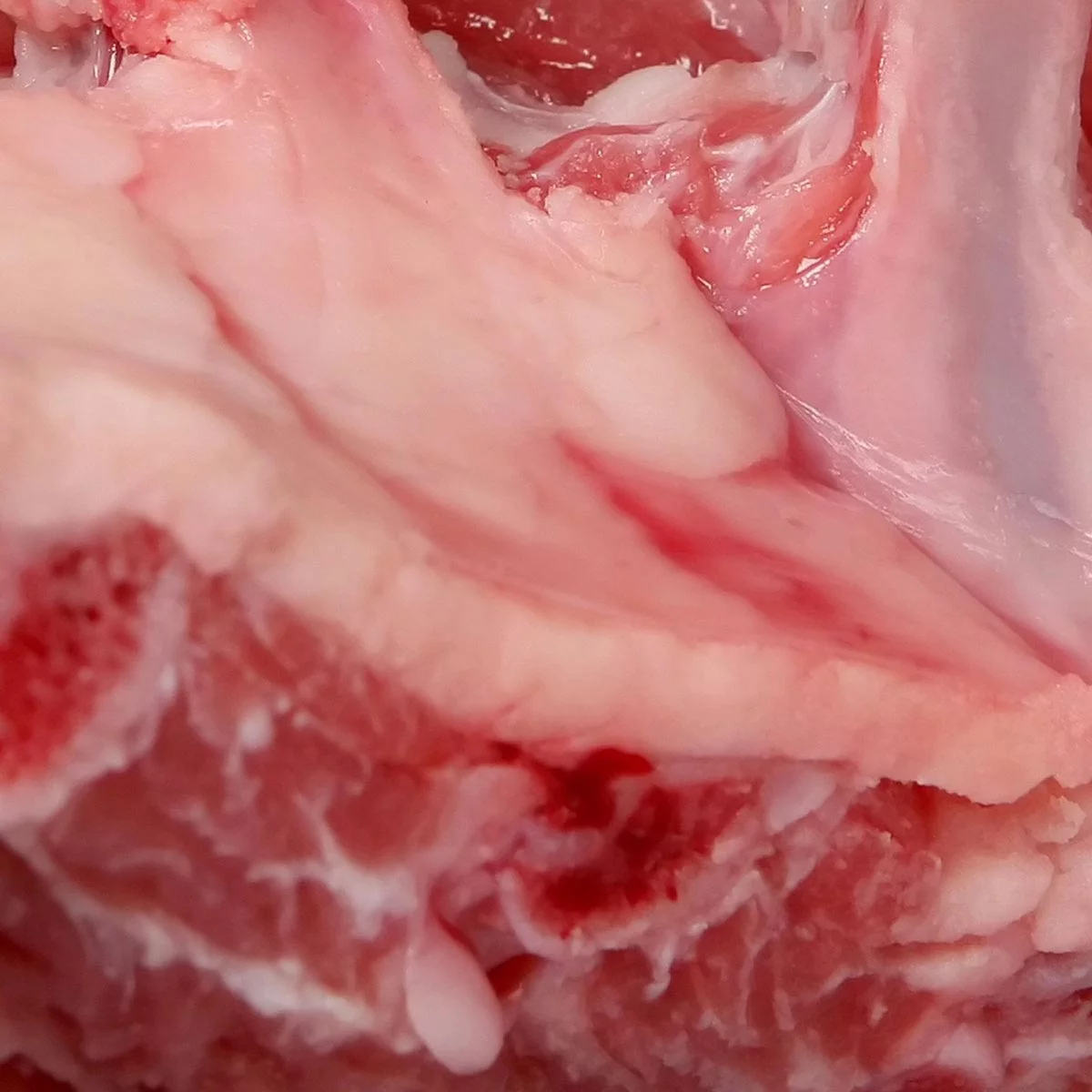 meat-supplier-beef-riblets-644a7765.webp