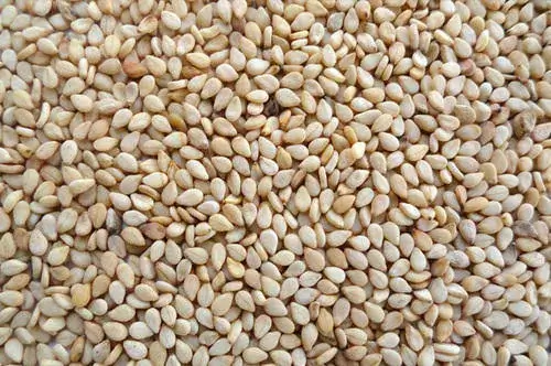 sesame-seeds.webp