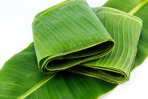 banana-leaf-leaves-klutuk-1.jpg