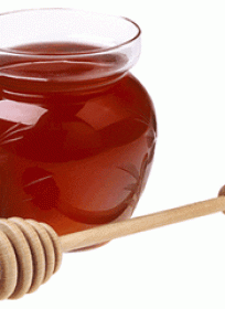 PURE SWEET HONEY FARM INC