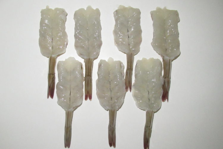 Butterfly-Tail-on-1-750x500.jpg