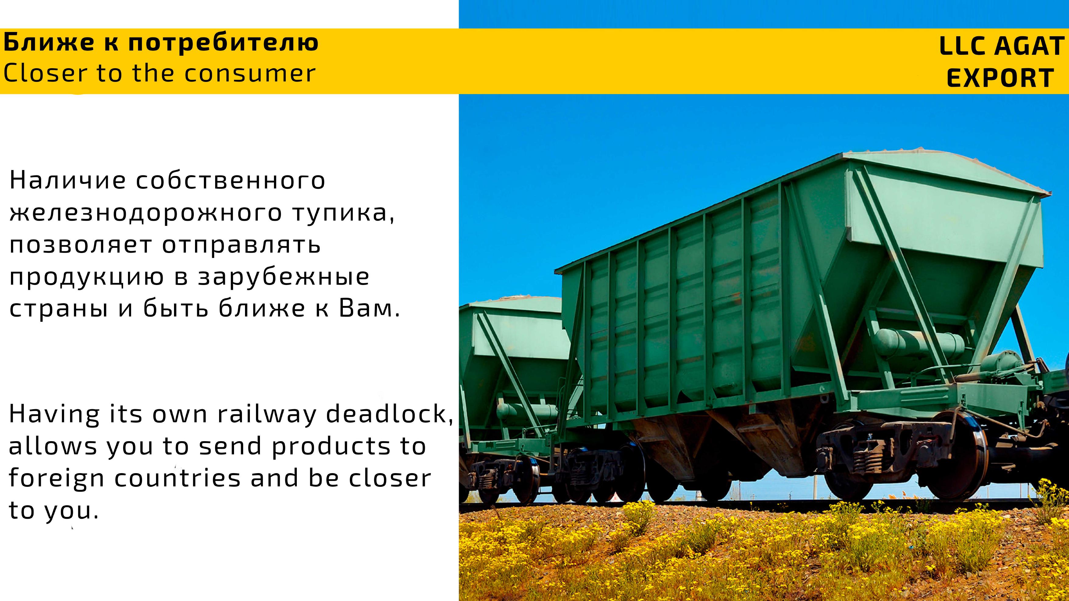 060324 Agat Export Present-изображения-5.jpg