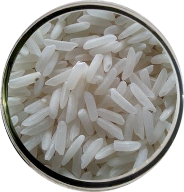 rice-2 (1).png