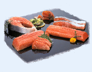 salmon_main.gif