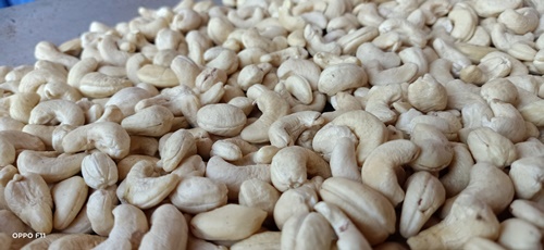 IMG20210529150200.jpg