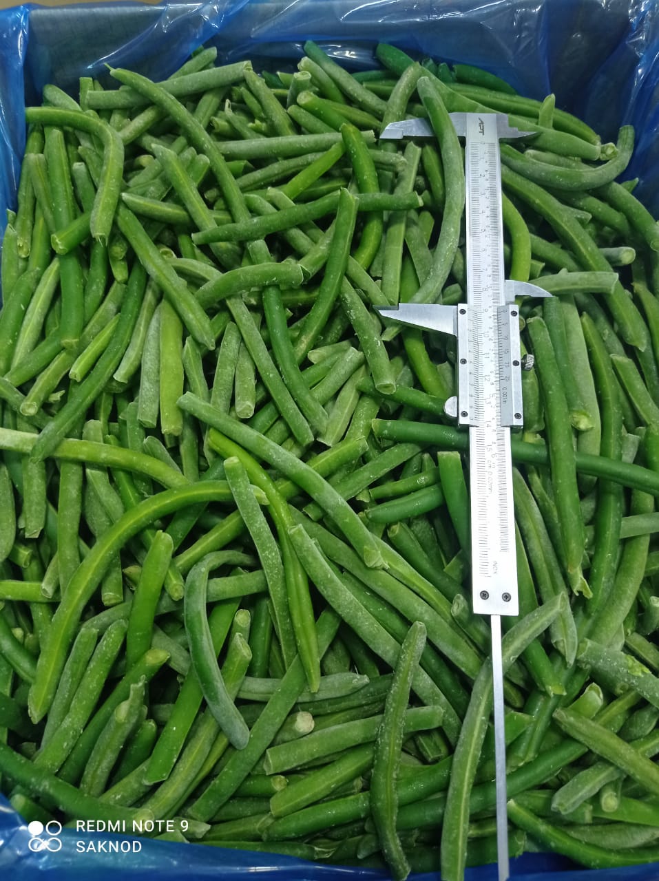 Whole green beans  (8).jpeg