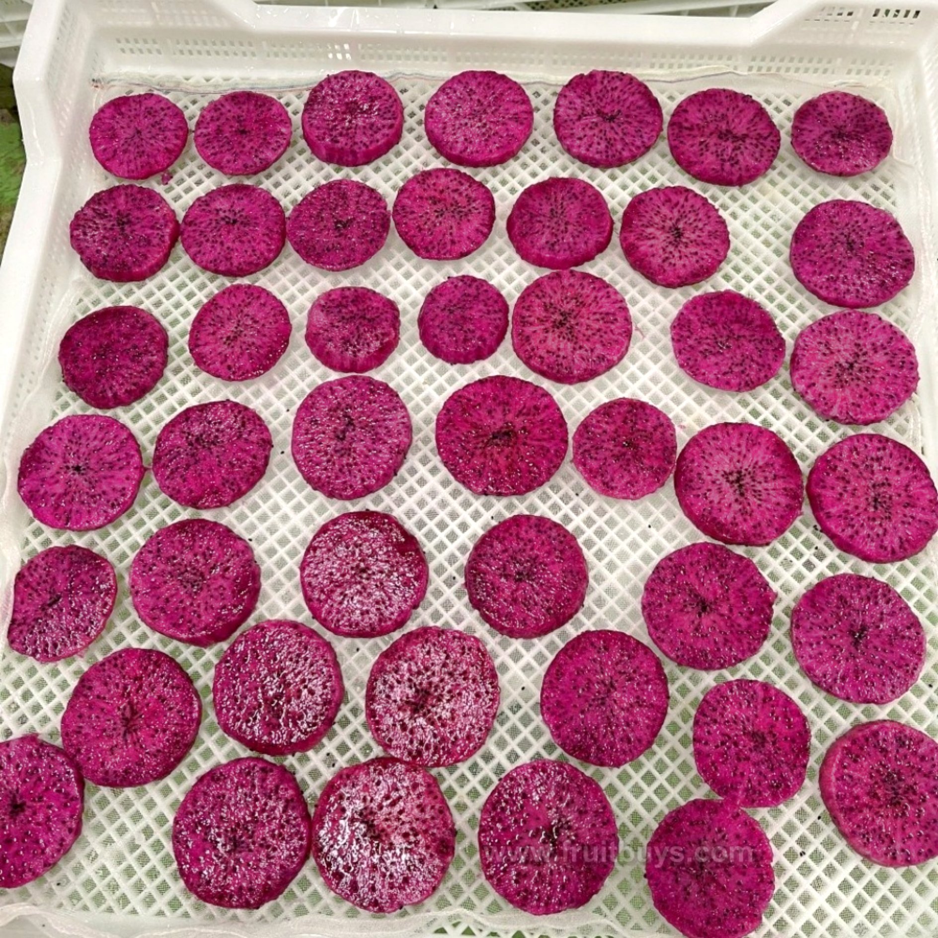 Soft Dried Dragon Fruit Slices No Sugar-FruitBuys Vietnam (3).jpg