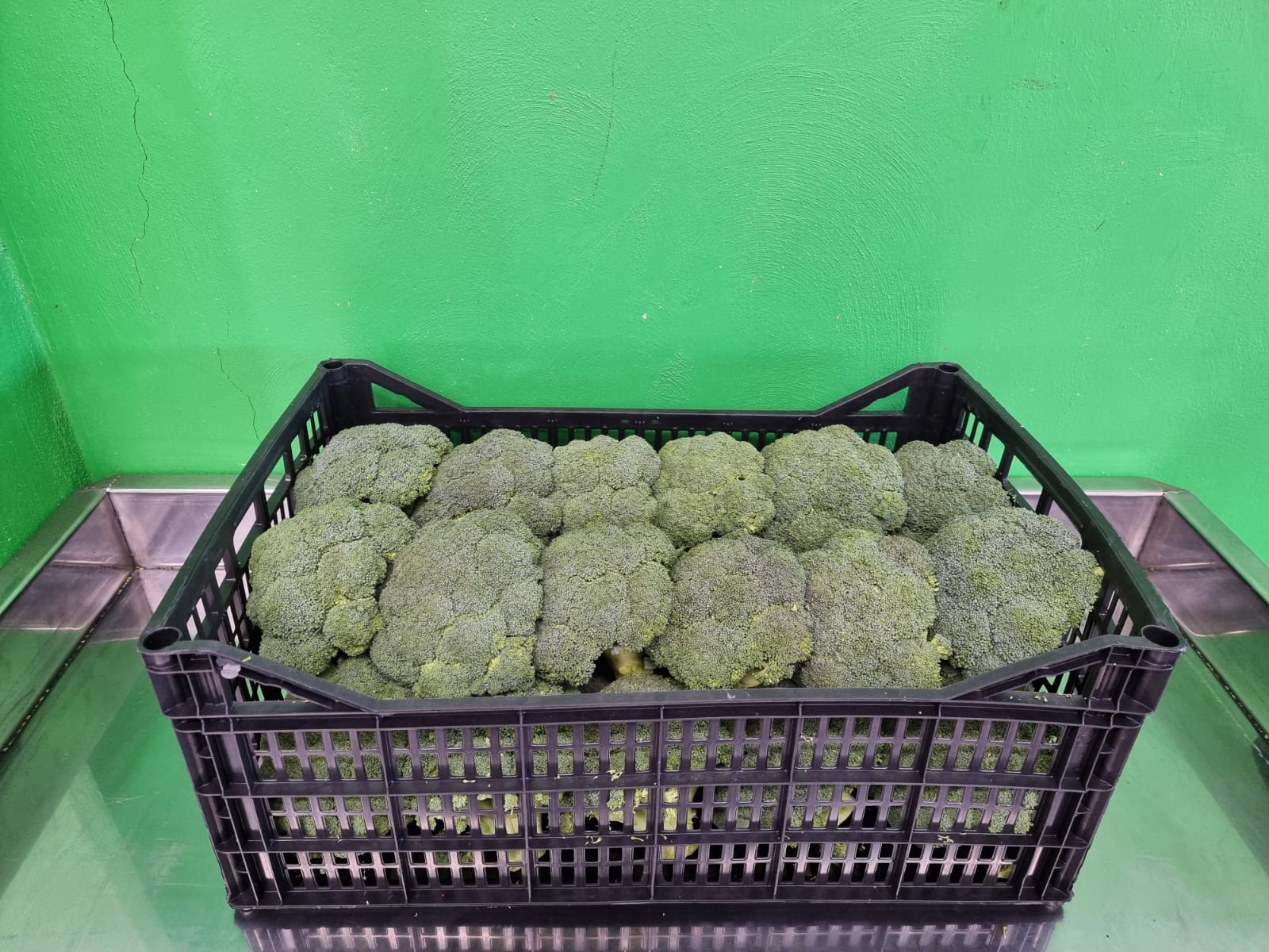 WhatsApp Image 2022-02-28 at 6.09.14 PM.jpeg