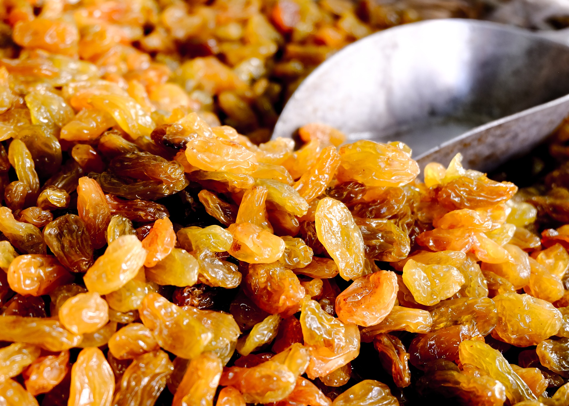 food-3219373_1920.jpg