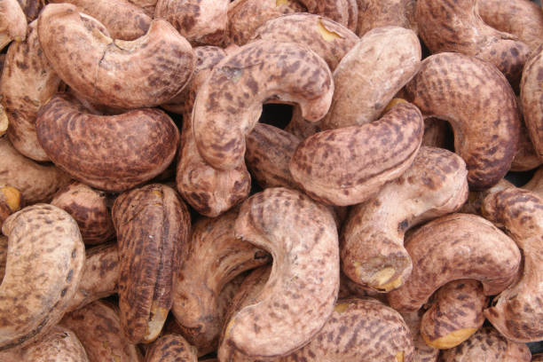 cashew4.jpg
