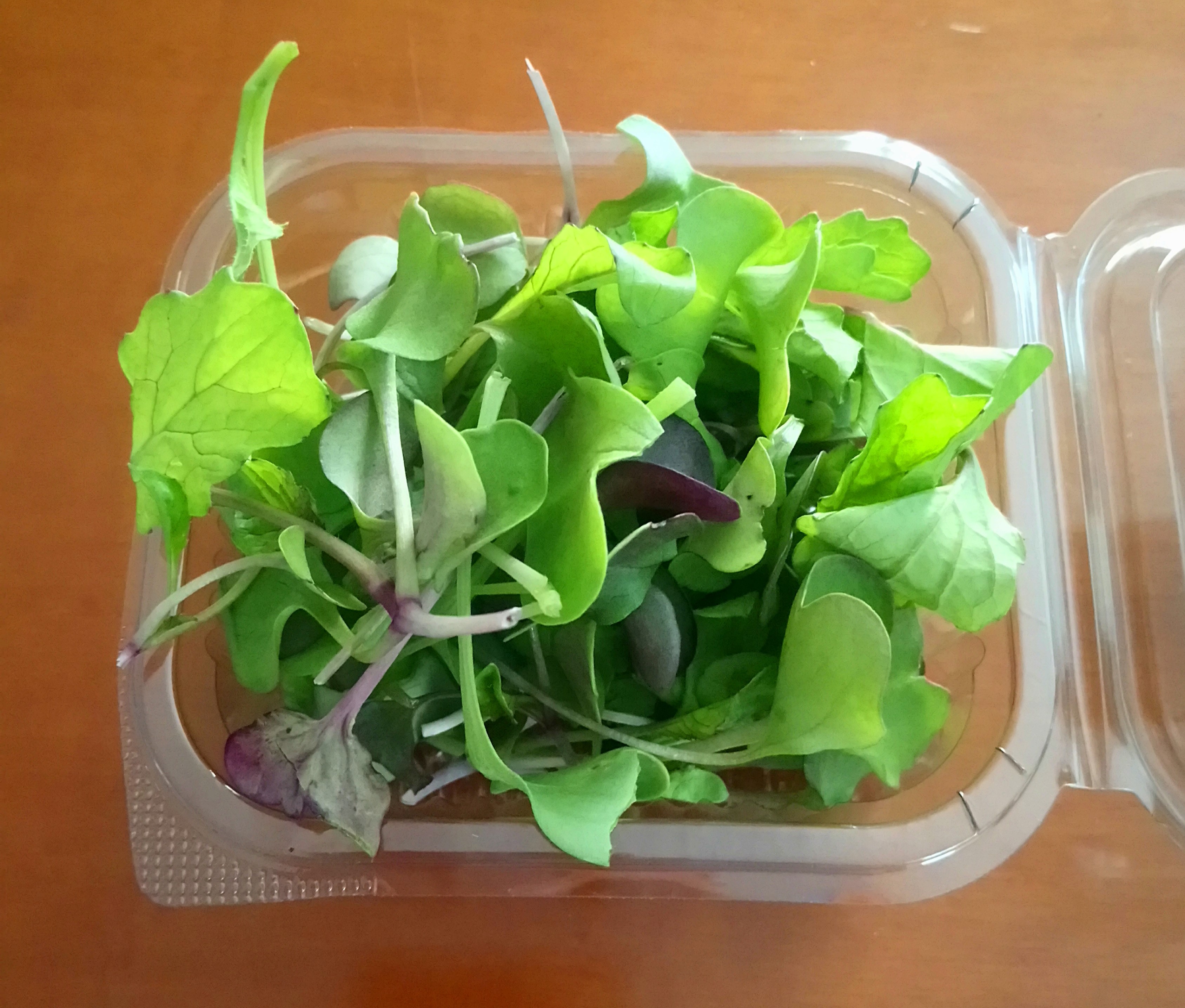 EXPORTERA BIO MG CHINA RADISH 2022.JPG