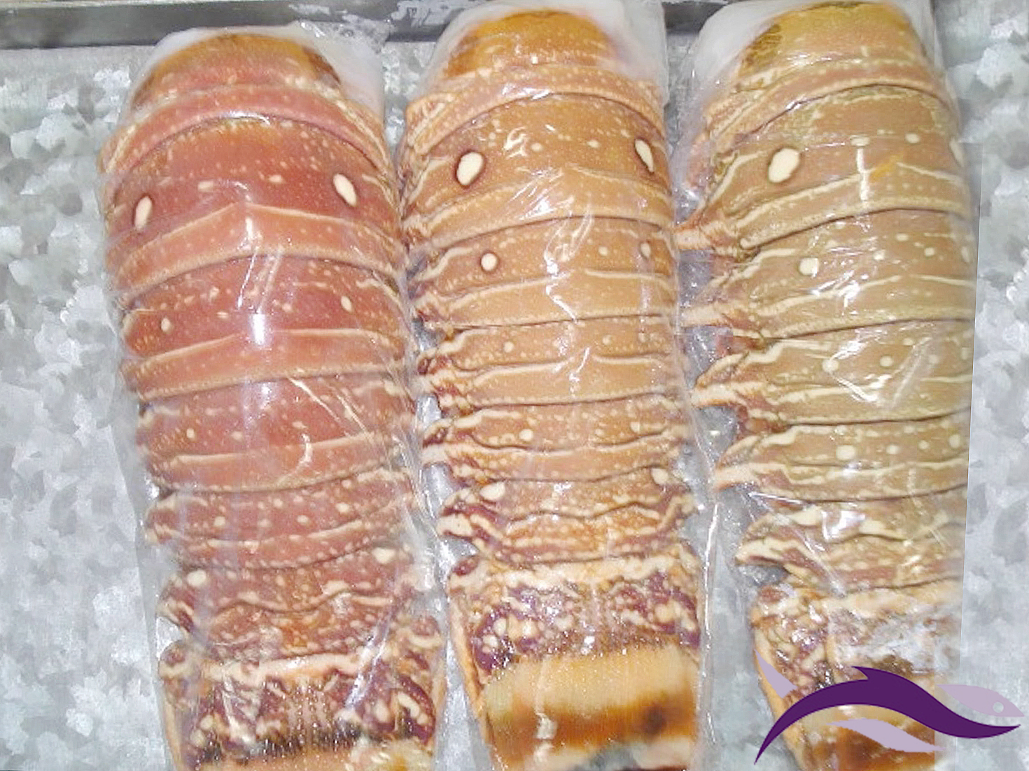 eede22bf2108001a9e3b8a82cba5812a590096e0a9377_FRESH LOBSTER TAIL (7) copy.jpg