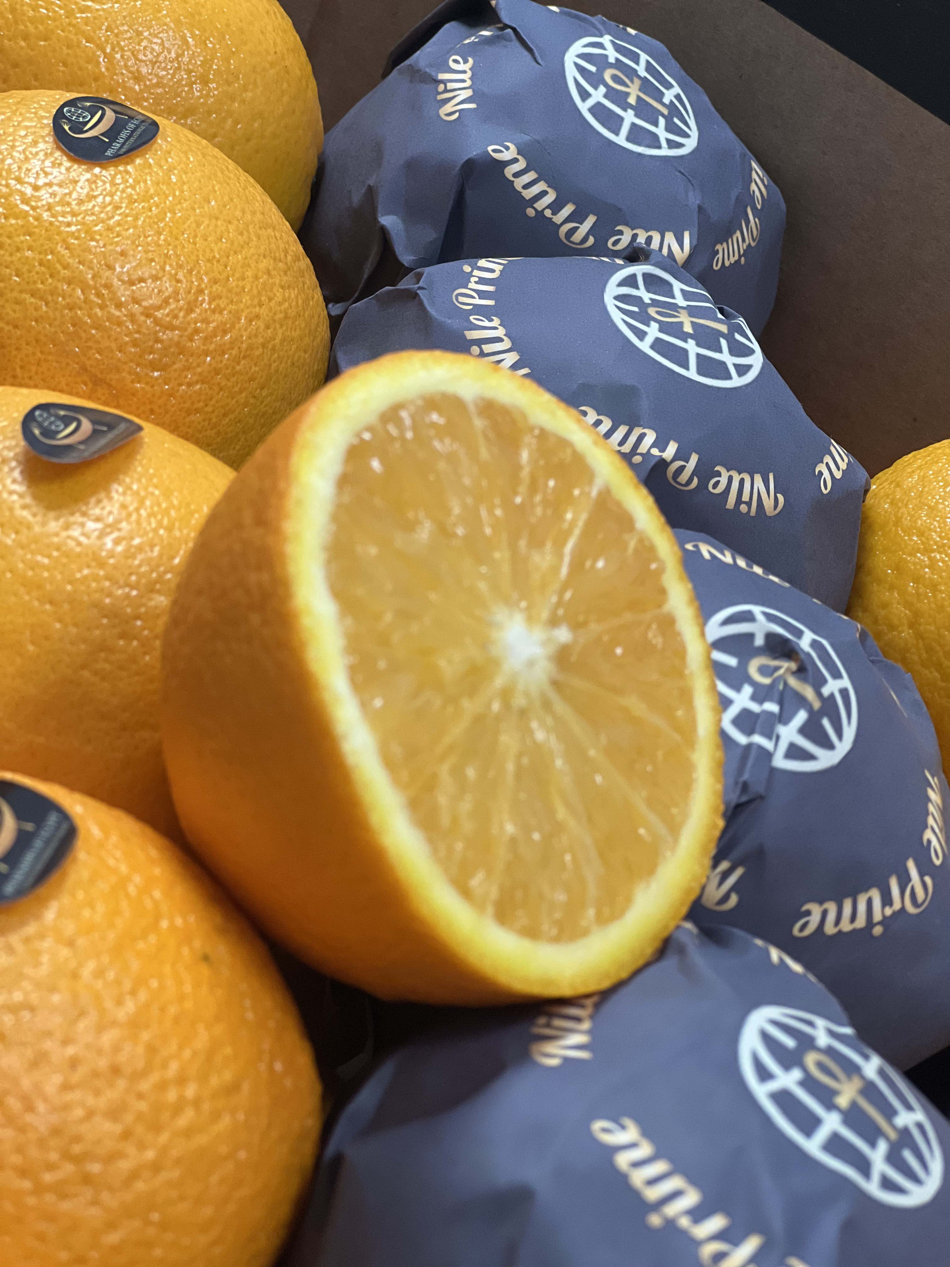 PEI Trade Oranges V (11).jpeg