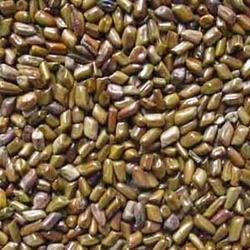 cassia-tora-seed.jpeg