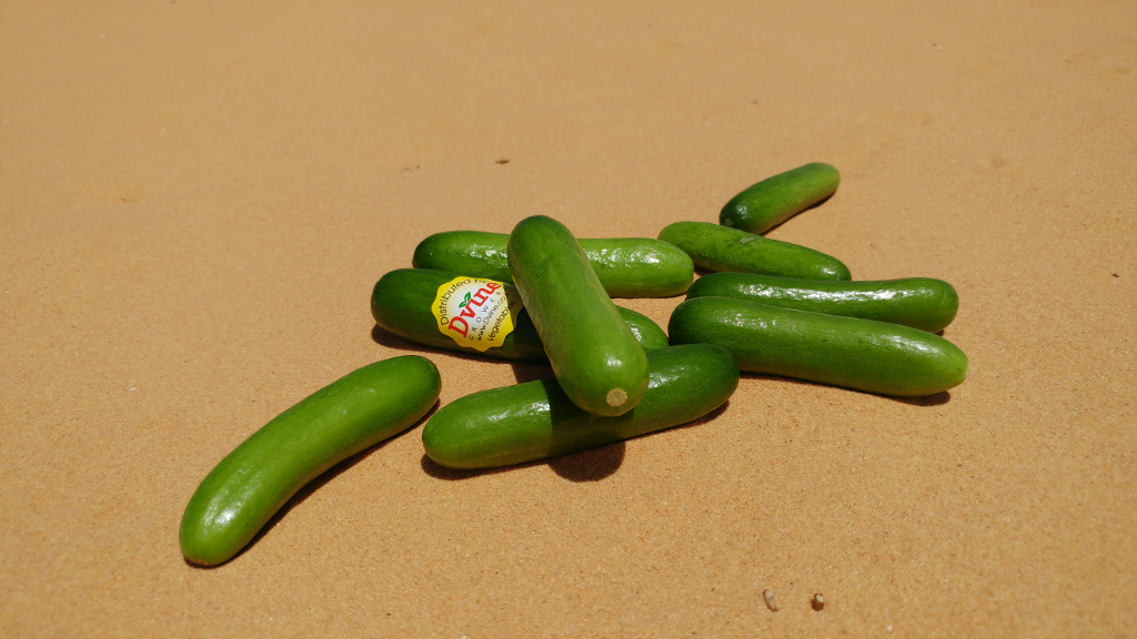 Baby Cucumber 2.jpg