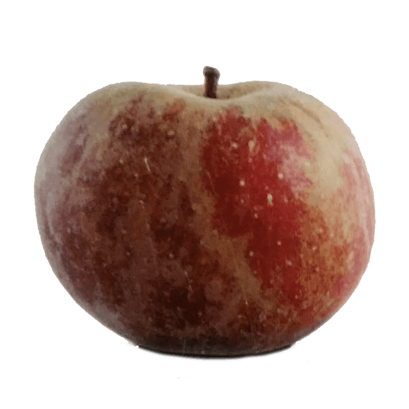 5.png