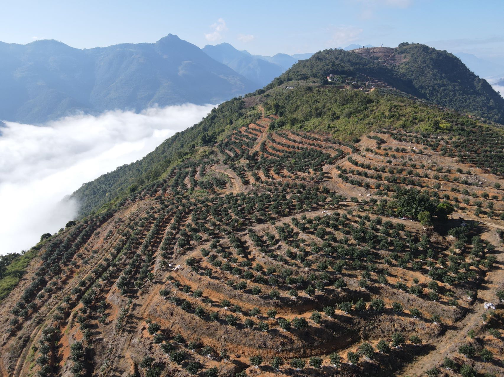Weixin Image_20230706152457.jpg