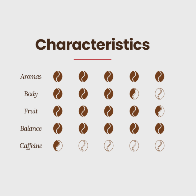 analisi sensoriale biocaffè (1).png
